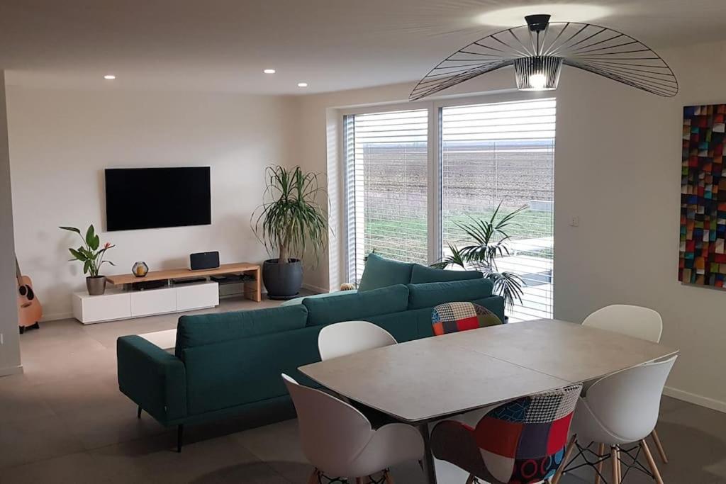 Maison Passive Avec Piscine Proche Colmar Logelheim Kültér fotó